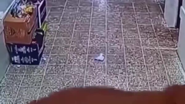 #viral | Classes Canceled: Flash Flood Unexpectedly Overwhelms Primary School in Iraq - Sputnik Africa