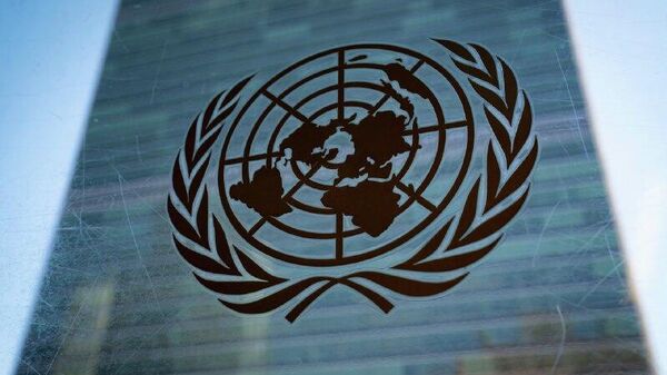 'Faced With UN’s Impotence, We Must Find Replacement Solutions,': Analyst - Sputnik Afrique