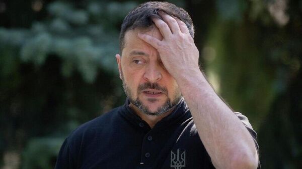 Kremlin aide to Zelensky: 'Donbass is Russian' - Sputnik Africa