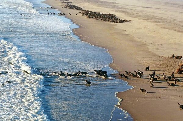 Namibia Named Africa's Most Authentic and Demanding Tourism Destination Namibia Named Africa's Most Authentic and Demanding Tourism Destination - Sputnik Africa