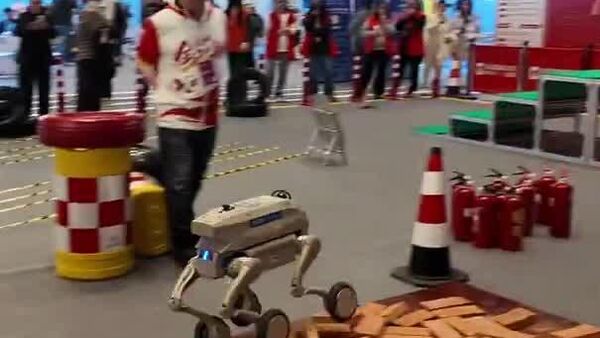 Une véritable parade de robots multitâches: le sommet Global Developer Pioneers 2025 et le concours international d'intelligence scientifique ont démarré à Shanghai - Sputnik Afrique