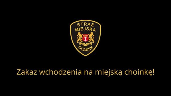 Quand le selfie de Noël tourne au plongeon dans les branches - Sputnik Afrique