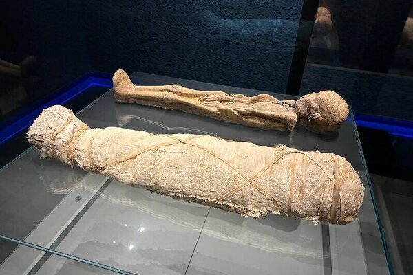 Le Musée national de Tripoli rouvre après 14 ans d'attente Le Musée national de Tripoli rouvre après 14 ans d'attente - Sputnik Afrique