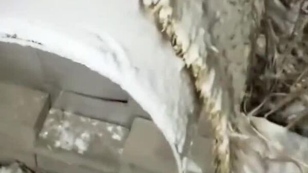 Ferme la porte, humain! Nous profitons de notre air bien chaud! - Sputnik Afrique