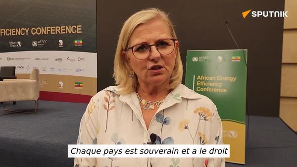 Les pays africains doivent harmoniser leurs stratégies énergétiques, selon la vice-ministre sud-africaine de l'Électricité et de l'Énergie - Sputnik Afrique