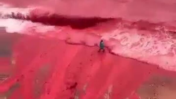 Une mer de sang s'est formée en Iran après des intempéries - Sputnik Afrique