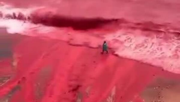 #viral | Beaches in Iran Turn Red Following Rainfall - Sputnik Africa