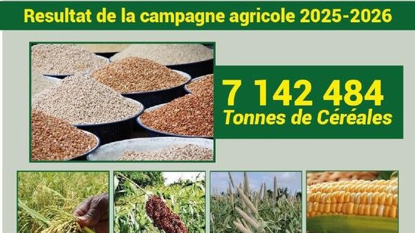 Le Burkina Faso enregistre des records historiques dans l'agriculture - Sputnik Afrique