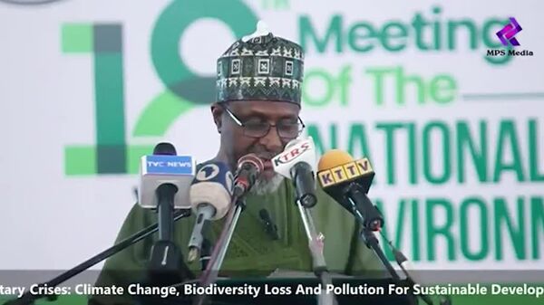 Nigeria Imposes Nationwide Ban on Wood and Allied Products Exports, Revokes All Licenses to Fight Deforestation - Sputnik Africa