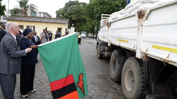 Russia Delivers $2M Worth of Food Aid to Zambia - Sputnik Africa