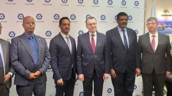 Russia and Ethiopia Hold Talks on Nuclear Power Plant Project - Sputnik Africa