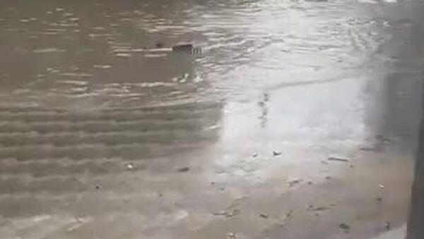 Inondations majeures à Dubaï et Abou Dhabi - Sputnik Afrique