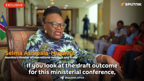 Russia–Africa Partnership Forum Casts Africa as Active Partner, Not Just Resource Supplier: Namibian FM - Sputnik Africa