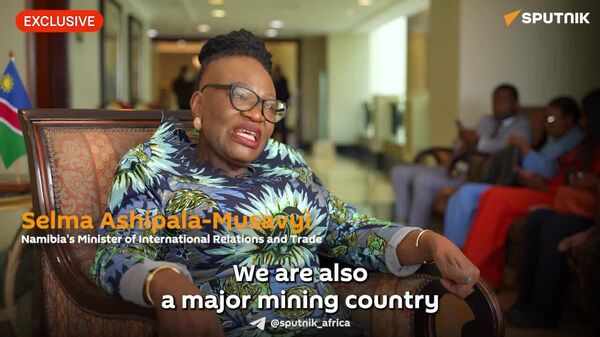 Namibia Views Russia’s Technological Expertise as Key to Developing Nuclear Energy: Namibian FM - Sputnik Africa