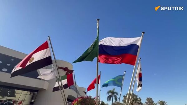 La deuxième journée du Forum Russie-Afrique débute au Caire - Sputnik Afrique