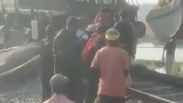 En Inde, cinq wagons du Rajdhani Express ont déraillé après une collision avec un troupeau d'éléphants - Sputnik Afrique