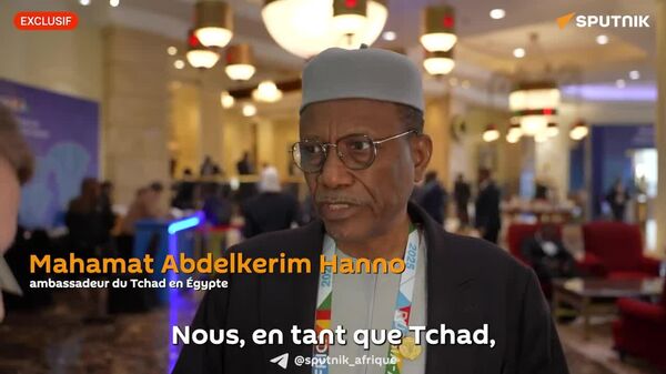 Le Tchad et la Russie ont beaucoup à échanger, selon un diplomate - Sputnik Afrique