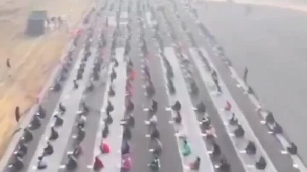 #viral | Forget the Plane — It’s Time for an Exam! - Sputnik Africa