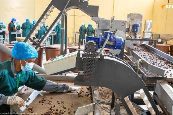 De l'exportation brute à l'industrialisation: Ibrahim Traoré inaugure des usines de transformation de maïs et de la noix de cajou De l'exportation brute à l'industrialisation: Ibrahim Traoré inaugure des usines de transformation de maïs et de la noix de cajou - Sputnik Afrique