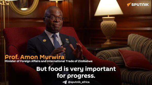 Russia-Africa Fertilizer Cooperation: Pillar of Food Security & Economic Sovereignty, Zimbabwe’s FM Says - Sputnik Africa