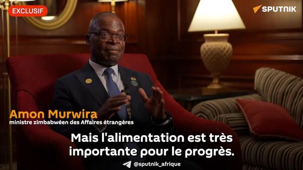 Fabrication d'engrais au Zimbabwe avec l'appui russe: bel exemple d’unité humaine pour de grandes réalisations, selon un ministre zimbabwéen - Sputnik Afrique