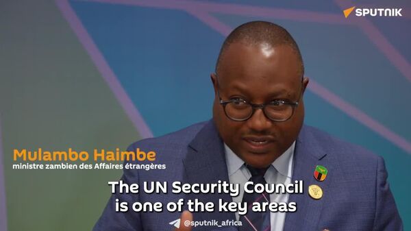 Africa Demands Fair UNSC Seat—and Finds Key Ally in Russia, Zambian FM Says - Sputnik Africa