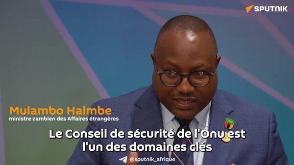 Siège pour l'Afrique au Conseil de sécurité de l’Onu: un ministre zambien salue le soutien russe - Sputnik Afrique