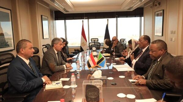 Tanzania Looks to Tap Egypt's World-Renowned Museum Expertise: Ministry - Sputnik Africa