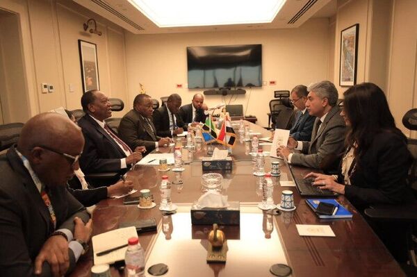 Tanzania Looks to Tap Egypt's World-Renowned Museum Expertise: Ministry - Sputnik Africa