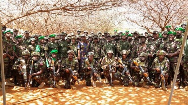 UNSC Extends AUSSOM’s Mandate for Another Year - Sputnik Africa