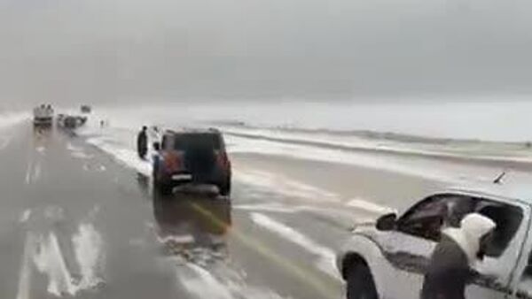 #viral | Arabian Night Winter: Camels Roam Snowy Dunes as Saudis Grapple With Icy Roads - Sputnik Africa