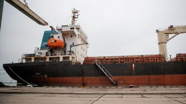 La capacité du port maritime de Marioupol augmentera d'ici la fin 2025 La capacité du port maritime de Marioupol augmentera d'ici la fin 2025 - Sputnik Afrique