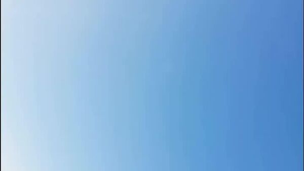 #viral | Feathered Raid: Eagle Steals Drone From Archaeologist During Filming and Takes Selfie - Sputnik Africa