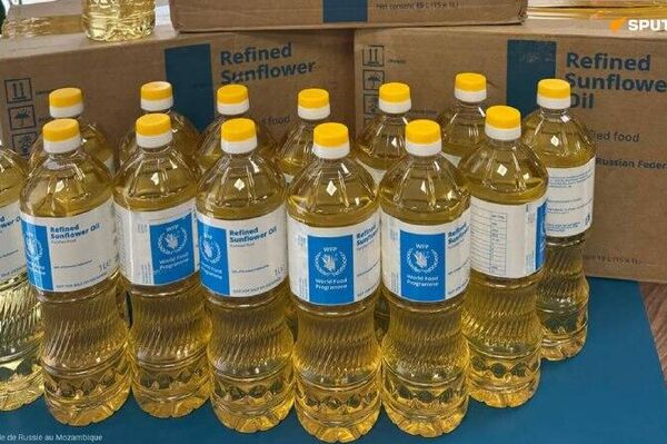 Retour en images sur la remise d'aide humanitaire russe au Mozambique et à la Zambie - Sputnik Afrique