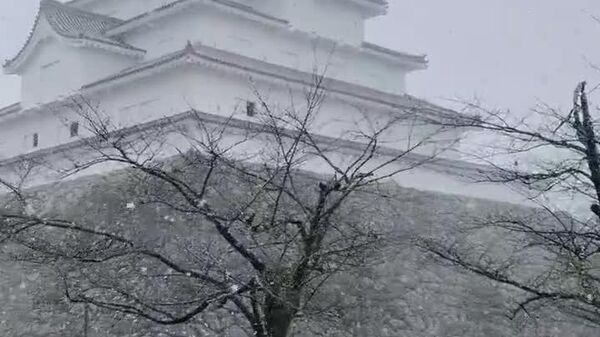#viral | Heavy Snowfall Hits Northern and Eastern Japan #viral | Heavy Snowfall Hits Northern and Eastern Japan - Sputnik Africa