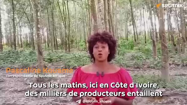 Le caoutchouc ivoirien peut devenir un moteur de souveraineté économique pour l’Afrique - Sputnik Afrique