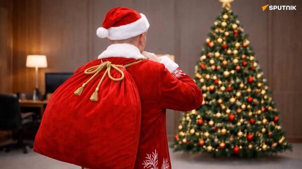 Certified 'Ho-ho-ho!' moment - Sputnik Africa