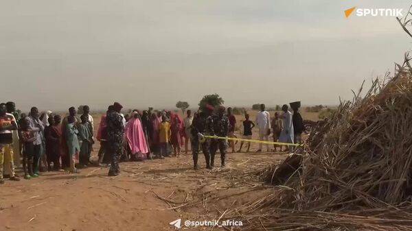 Eyewitnesses to US Airstrikes in Nigeria Tell About the Horror They Experienced - Sputnik Africa