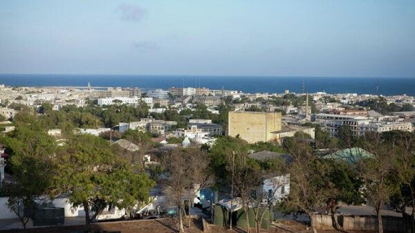 East African Leaders Reaffirm Support for Somalia's Territorial Integrity - Sputnik Africa