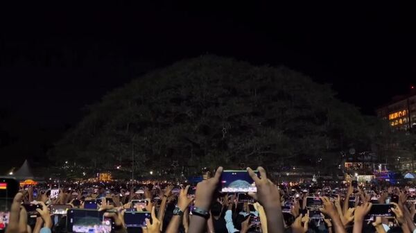 #viral | India’s Christmas Tree: 400-Year-Old Rain Tree Dazzles Thousands in Kochi - Sputnik Africa