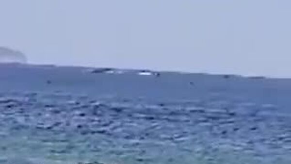 Un avion publicitaire s'est abîmé en mer, au large de la plage de Copacabana à Rio de Janeiro - Sputnik Afrique