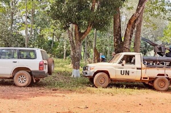 CAR Goes to Polls - Sputnik Africa