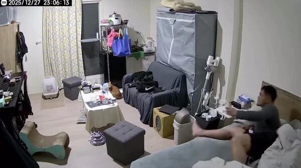 #viral | Chasing a Cat Through 7 - Sputnik Africa