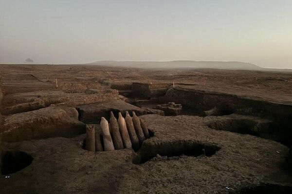 Major Archaeological Find in Egypt's Western Delta Reveals Industrial Hub and Roman Cemetery: Ministry - Sputnik Africa