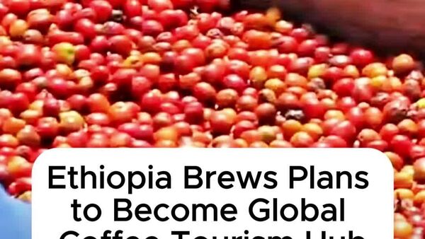 Ethiopia Announces Plan to Develop Coffee-Based Food and Beverage Tourism: Ministry - Sputnik Africa