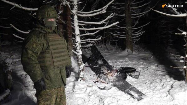 Résidence de Poutine attaquée: Moscou réagira de façon mesurée, afin de ne pas entraver les efforts de paix, dit un expert - Sputnik Afrique