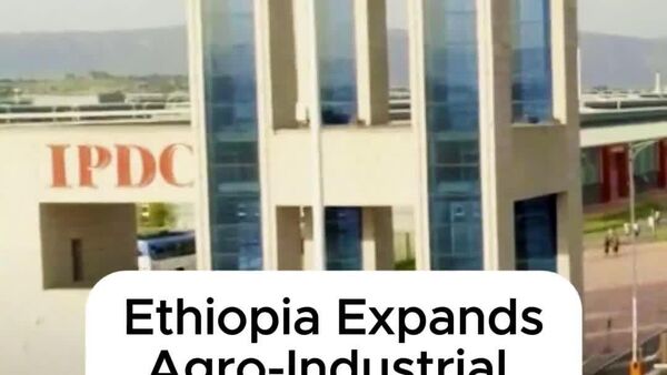 Ethiopia Aims to Accelerate Industrial Growth: 17 New Agro-Processing Parks Announced - Sputnik Africa