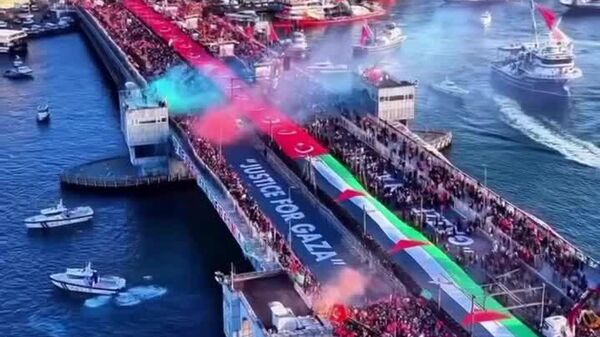 ▶ Soutien à la Palestine: des dizaines de milliers de personnes se sont rassemblées à Istanbul le jour du Nouvel An pour exprimer leur solidarité - Sputnik Afrique