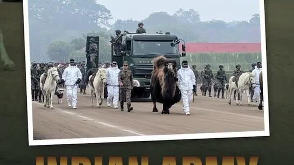 #viral | Camels, Ponies & Dogs Join Rehearsal for India’s Republic Day Parade - Sputnik Africa