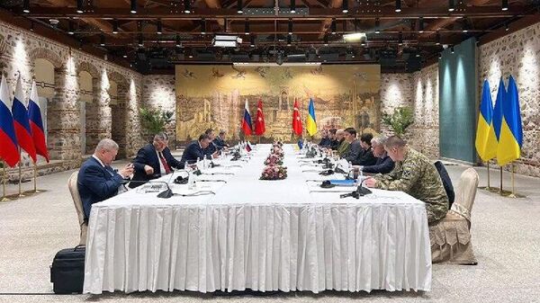 L'idée d'organiser un sommet sur l'Ukraine à Istanbul n'est pas abandonnée: la Turquie soutient activement cette initiative - Sputnik Afrique